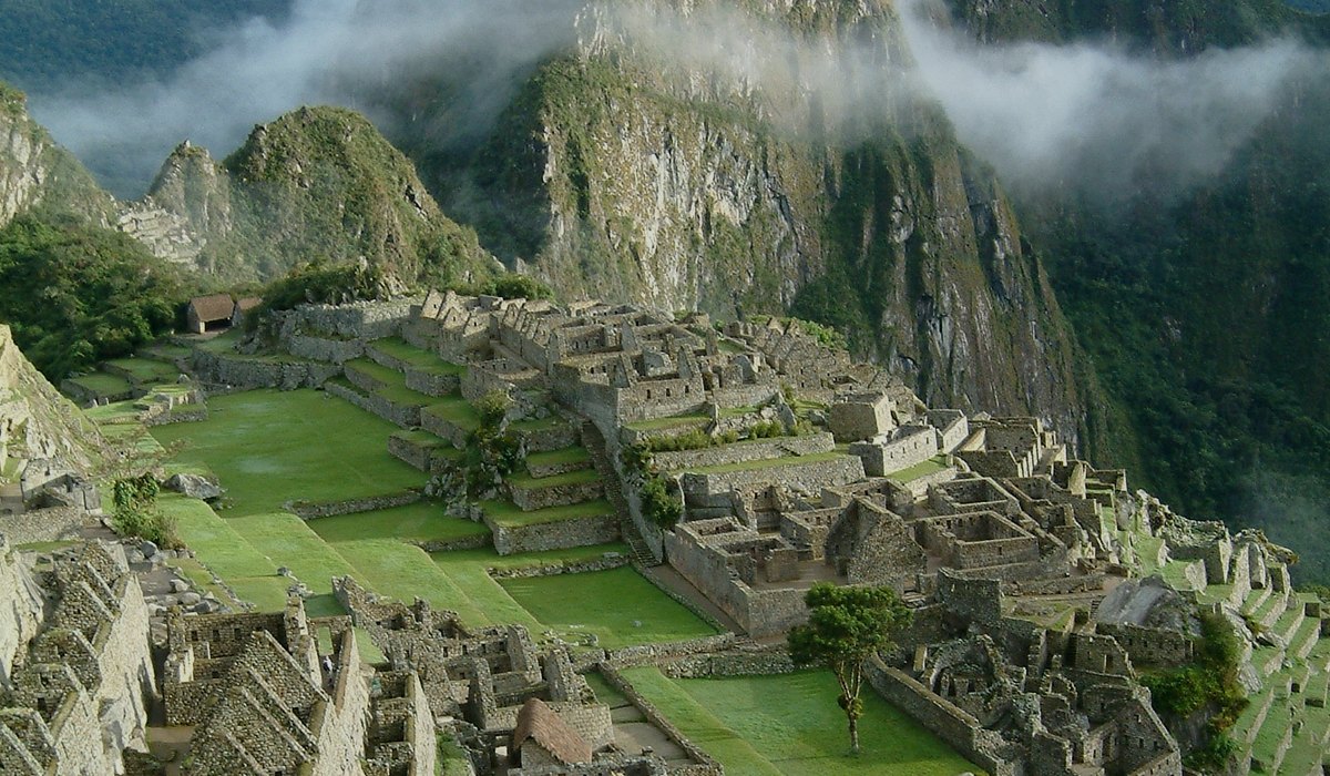 One Llama Travels Peru testimonial visual